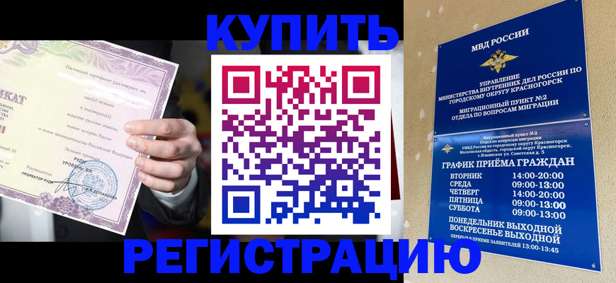 временная регистрация собственник в Стародубе