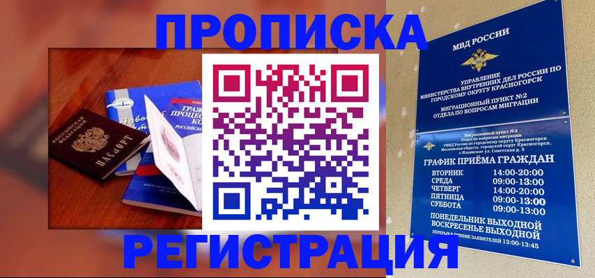 временная регистрация для школы в Стародубе